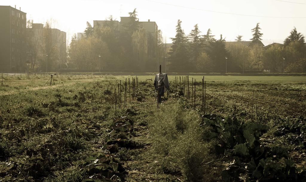 Вілла Podere San Giuliano Сан-Лаццаро-ді-Савена Екстер'єр фото